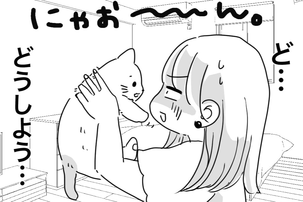 【漫画】半年後に同棲を計画中！ですが…「道端で猫と出会ってしまった」女性の話【第1話】