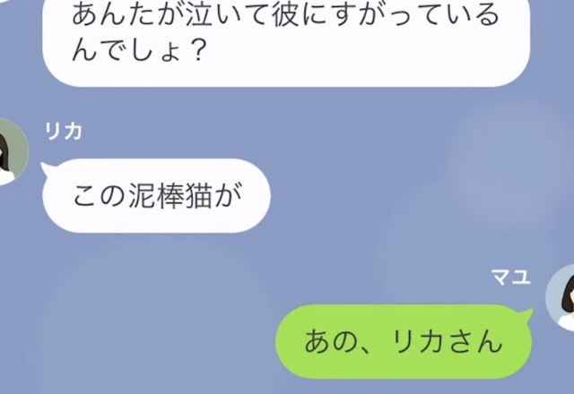 被害妄想が激しいママ友…「この泥棒猫が！」旦那の会社に”電話”してくる始末！？→非常識なママ友に【真実】を告白する…！