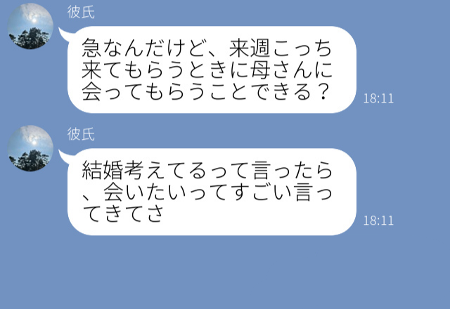 『母さんにあってほしい』結婚を考えている彼の親と対面！でもシングルマザーに育てられた彼氏は、勝手に【計画】を立てていた！？