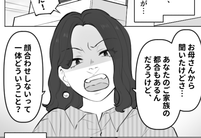 義姉「顔合わせしないってどういうこと？」嫁「え？」事前に決めていたのに…怒られた！？→事情を知っている【義母の対応】に絶句…