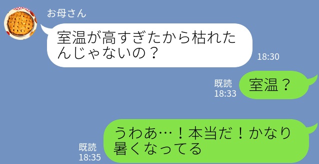 【エアコンなしで事件発生…】電気代と食費を節約することに！→しかし、ある日”育てていた野菜”の衝撃的な姿に落胆…！