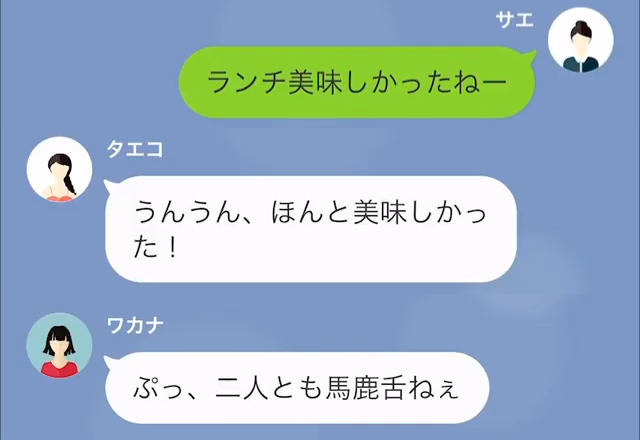 ママ友とランチへいくと…『馬鹿舌ねぇｗ』マウント発言がさく裂！？さらに”別角度からも”自慢話をされ…