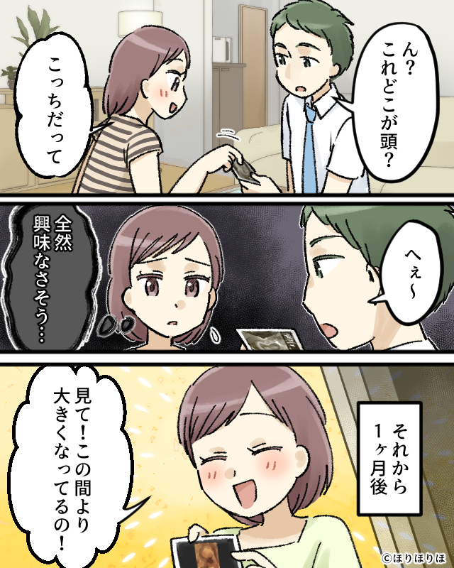 エコー写真を見た夫の感想に絶句【漫画】